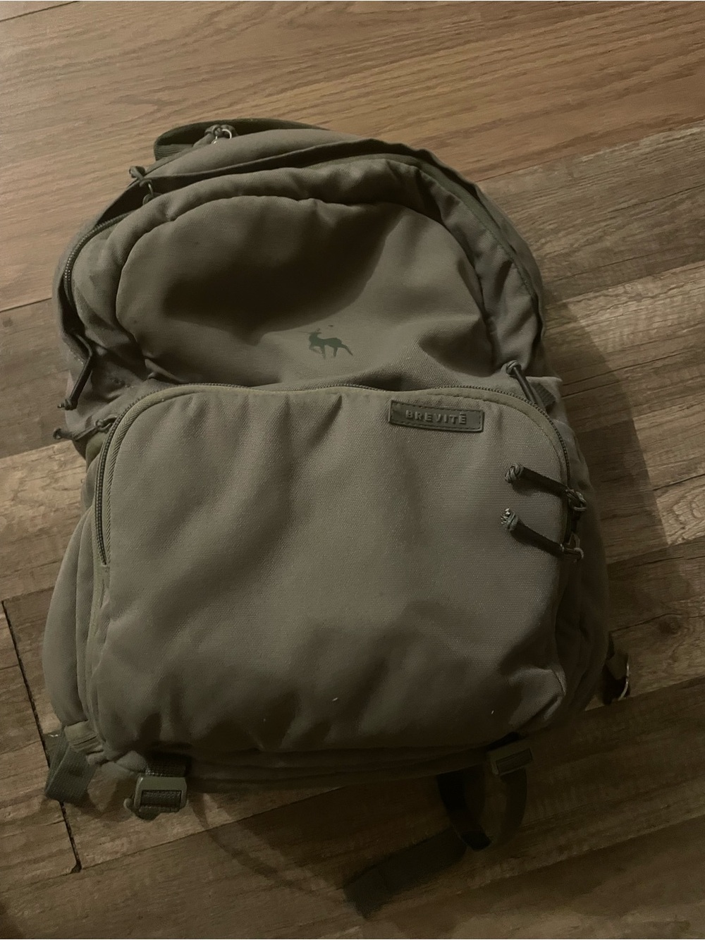 Brevite Olive Green Men's Backpack with Multiple Compartments